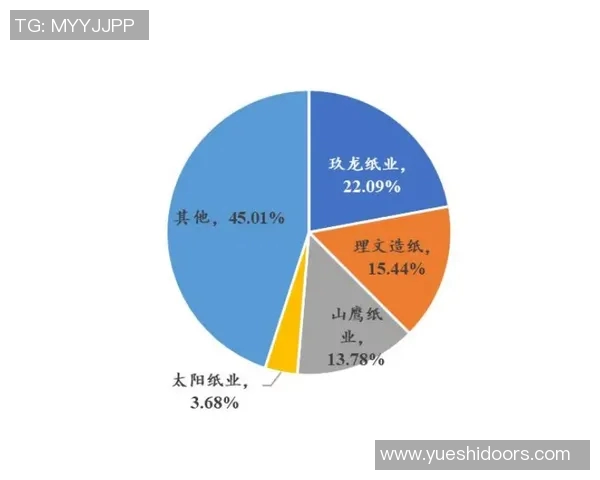 杭州网球队团队协作引发热议球员间配合与竞争的微妙关系探讨
