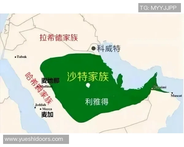 阿联酋与沙特谁能在这场激烈对决中胜出分析与预测