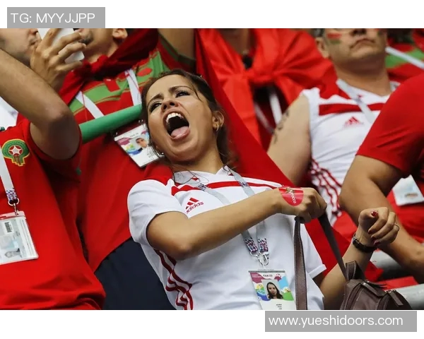 摩洛哥与伊朗比赛实时数据分析及精彩瞬间回顾