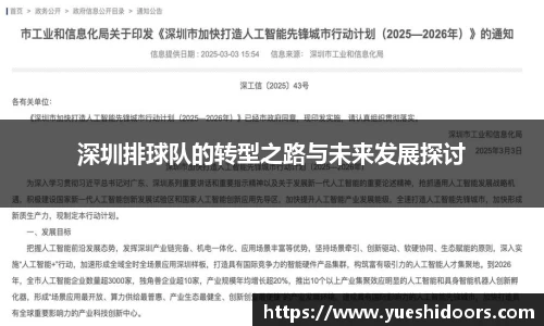 深圳排球队的转型之路与未来发展探讨